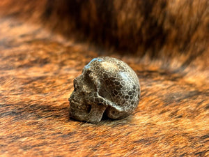 Fossil Coral Skull M