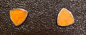 Spiny Oyster Stud Earrings