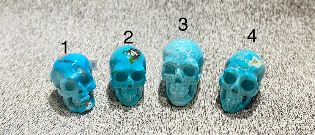 Fox turquoise Skull S