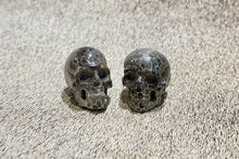 Load image into Gallery viewer, Fossil Coral Skull XXs
