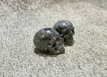 Load image into Gallery viewer, Fossil Coral Skull XXs
