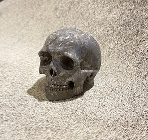 Gibeon Metorite Skull