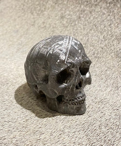 Gibeon Metorite Skull