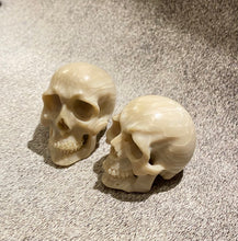 Load image into Gallery viewer, White Skull
