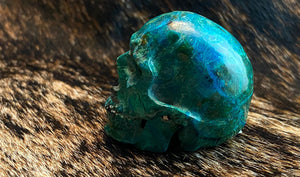 Chrysocolla Medium Skull
