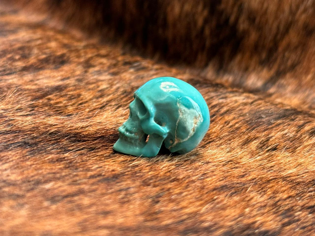 44 Carat turquoise Skull