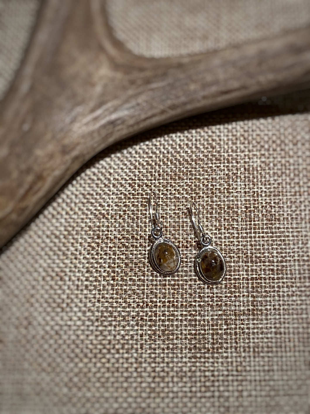 Petrified Wood Earrings #5