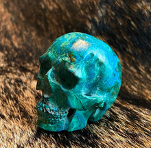 Load image into Gallery viewer, Chrysocolla Medium Skull
