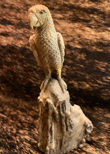 Eagle On Trunk