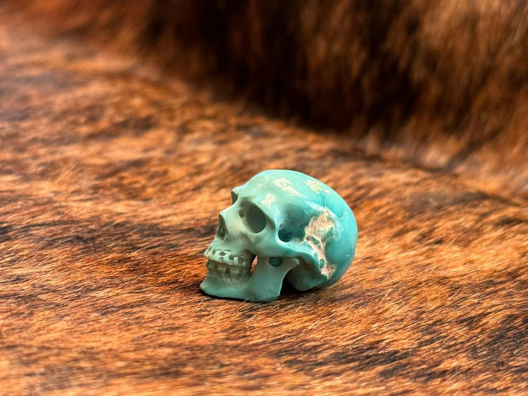 Fox turquoise Skull M