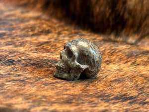 Fossil Coral Skull S