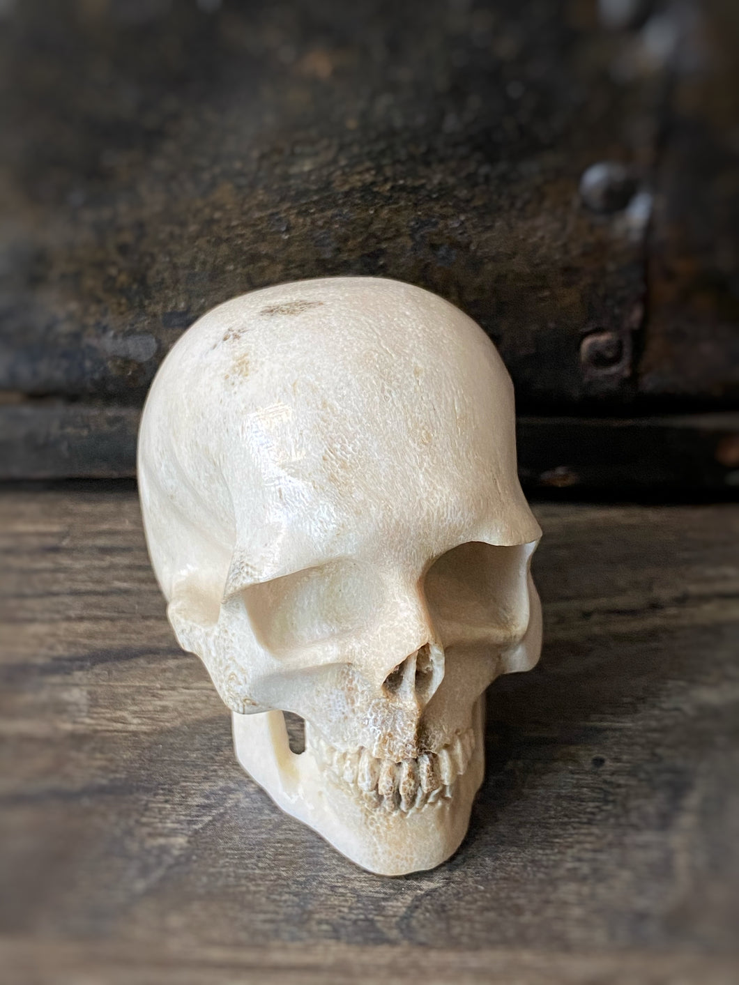 Antler Carved Skull A (w)