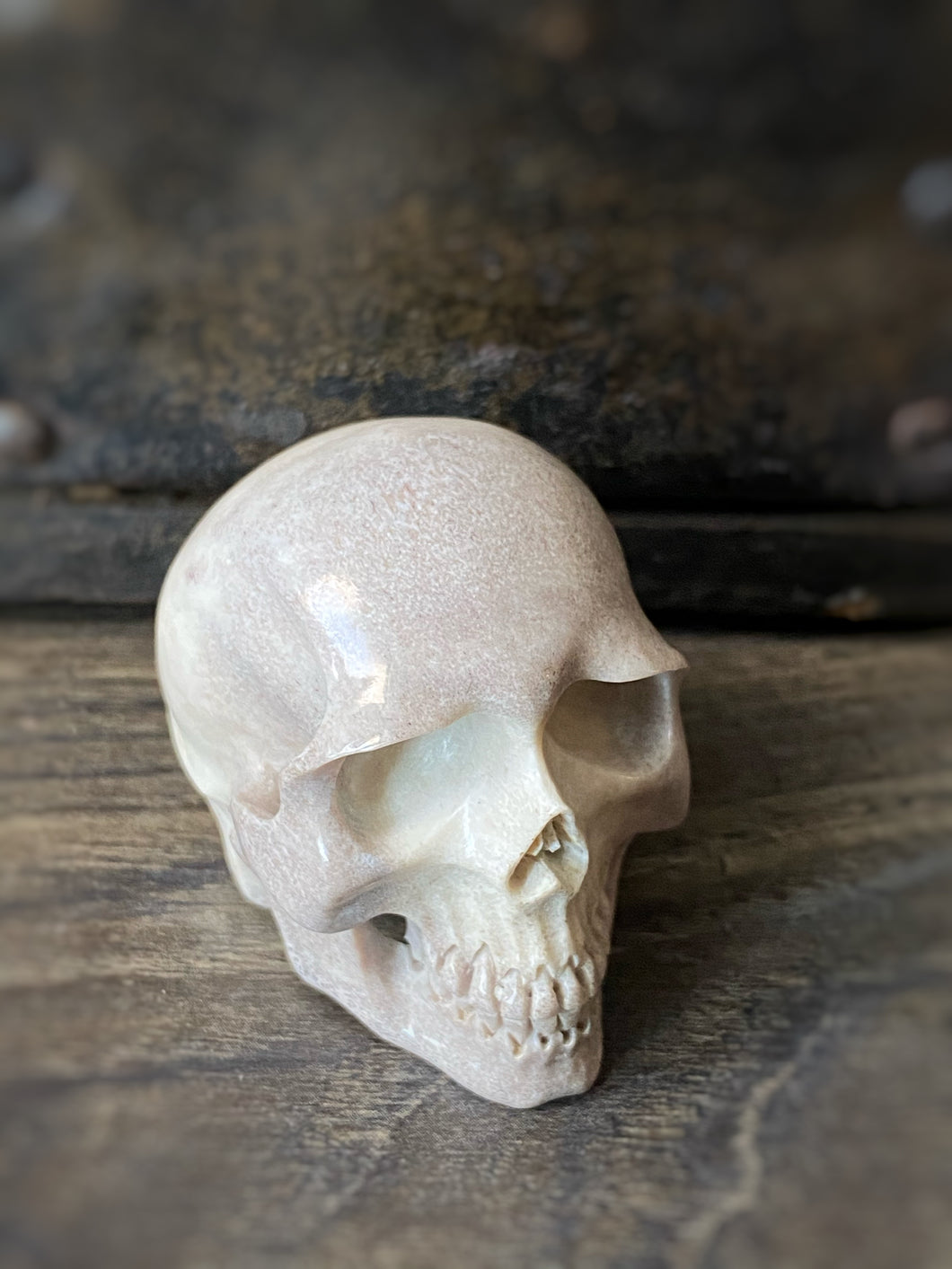 Antler Carved Skull C (w)